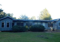 Forest Foreclosure